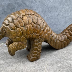 pangolin