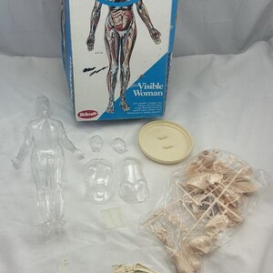 May include: A Humanlab Visible Woman anatomy kit featuring a blue and white box with an illustration of a human body. The set includes a clear plastic figure, a round beige base, and various unassembled beige plastic skeletal and organ parts.