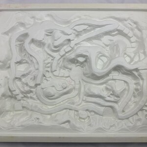 May include: A white, rectangular mold with a detailed, raised relief design. The design features winding, organic shapes and textures, possibly for casting or molding. The mold has a raised border.