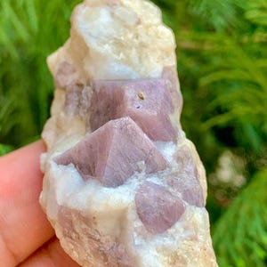 May include: A cluster of purple and white crystals embedded in a rough, white rock. The crystals have a sharp, geometric shape.