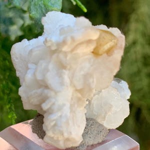 Puede incluir: Primer plano de un espécimen mineral blanco y amarillo claro. El mineral tiene una estructura cristalina agrupada y se asienta sobre una pequeña base gris. El fondo está borroso, con follaje verde visible.