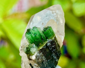 Green Cap Tourmaline with Quartz Crystal Specimen, Skardu Pakistan