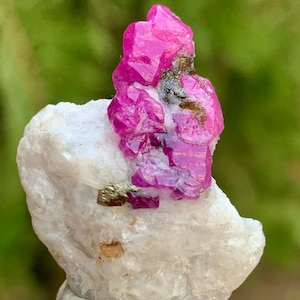 May include: A vibrant pink ruby crystal cluster atop a white quartz matrix. The ruby displays a rich, saturated color with visible crystalline structure. Small flecks of gold-colored pyrite are also present. The background is a soft green.