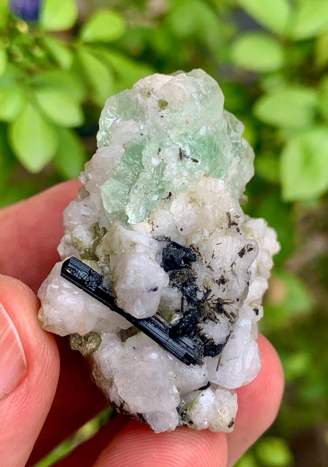 30 GM Stunning Terminated Green Fluorite With Black Tourmaline and ...