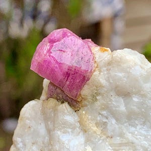 May include: A close-up of a raw gemstone. A vibrant pink crystal formation is the focal point, set against white and beige rock. The crystal's surface reflects light, showcasing its natural texture and colour variations. A natural mineral specimen.