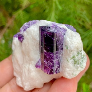 82 GM Aesthetic Bunch of Fluorescent Purple Scapolite with Diopside specimen from Badkhahan Afghanistan, Minerals Specimen Raw Scapolite