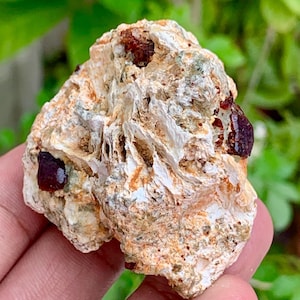 Pode incluir: Uma pedra natural bruta, com uma paleta de cores bege e castanha. A pedra tem uma textura em camadas com várias inclusões vermelho-escuras, semelhantes a gemas. A pedra é segurada na mão, com um fundo verde desfocado.