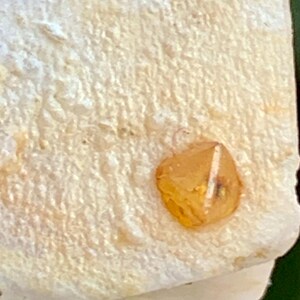 May include: Close-up of a rough, textured, off-white surface with a small, orange-yellow crystal. The crystal has a geometric shape with visible facets and a slightly translucent appearance. The background is blurred.
