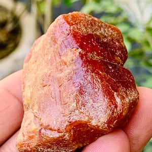 Scheelite rouge sang à terminaison rare de 172 g avec spécimen de cristal de quartz de Skardu, Pakistan