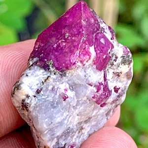 May include: A raw ruby crystal with a deep pink hue. The crystal is embedded in a matrix of white and gray rock. The ruby has a sharp, pointed shape.