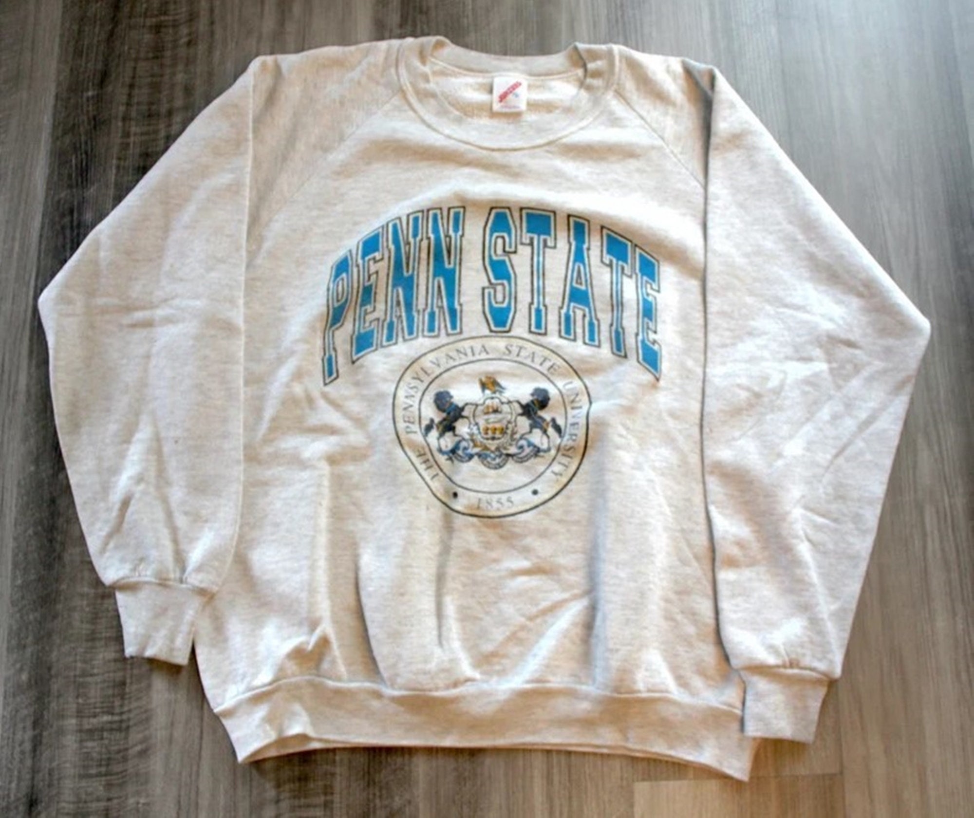Penn State Crewneck - Etsy