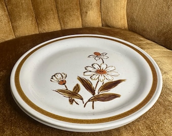 Electra Casual Ceram Stoneware Olympia 9507 Dinnerware, 1970, MCM