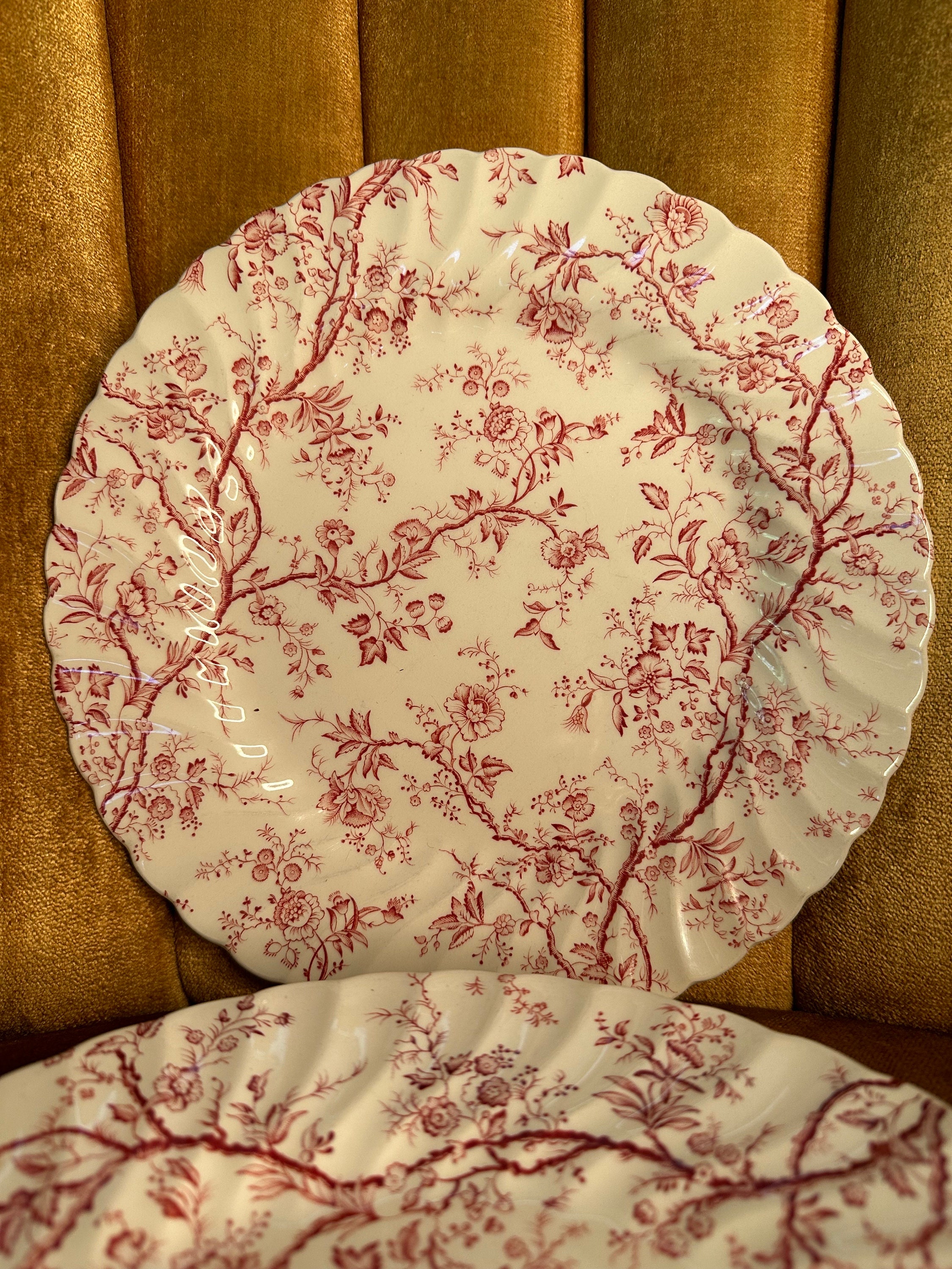 Set of 2 Johnson Brothers Old Bradbury Ironstone 9.75 Inch