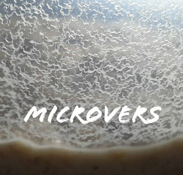 Souche Microvers, Nourriture Vivante Pour Alevins de Killi, Betta ...