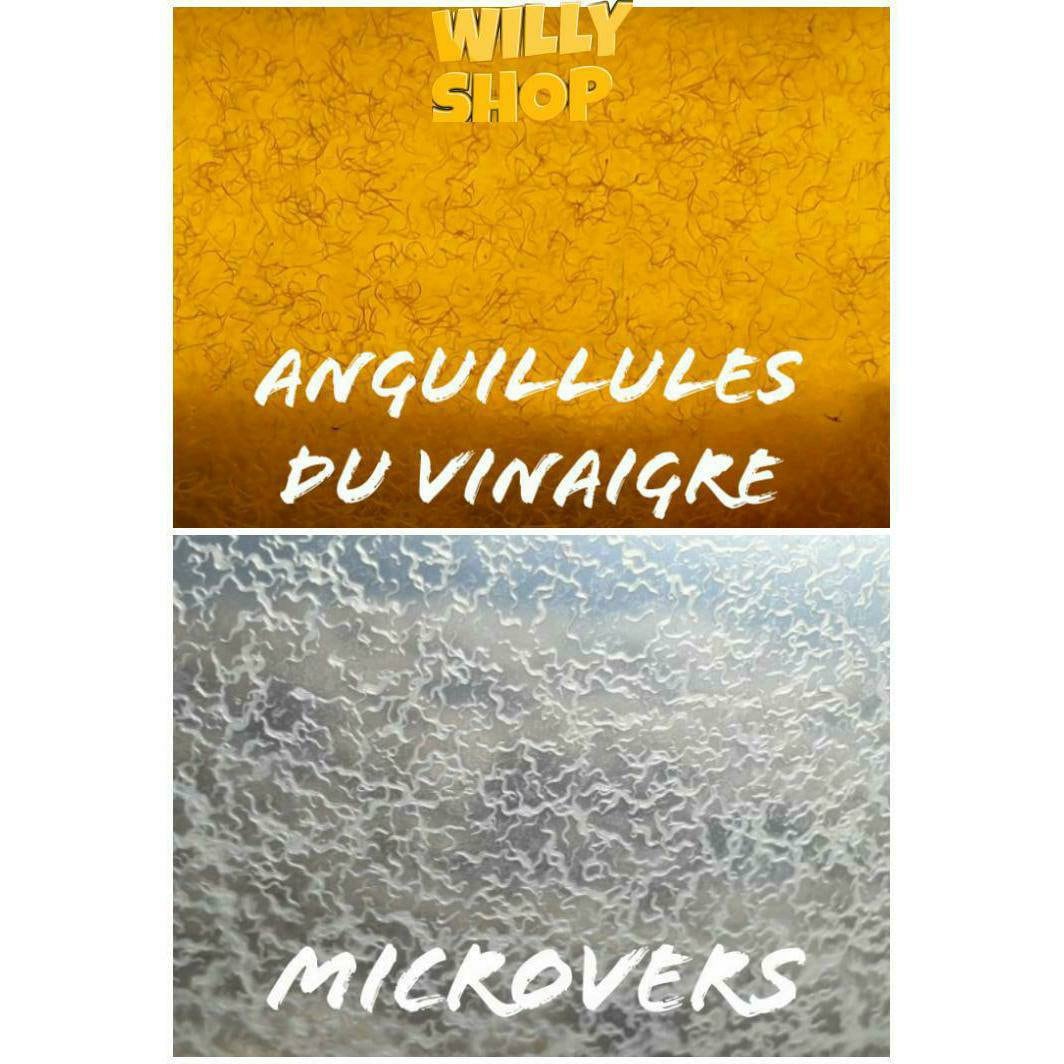 Kit Nourriture Alevins | 1 Souche Anguillules Du Vinaigre + 1 Microvers, Killi, Betta ...