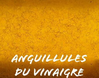 Souche Anguillules Du Vinaigre Nourriture vivante pour alevins de killi, betta ...