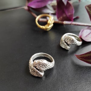May include: Two snake-shaped rings, one silver and one gold, on a black surface. The rings are detailed with textured scales.