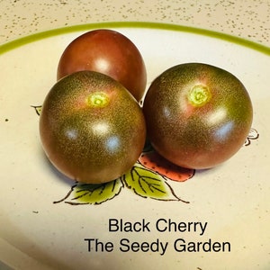 Black Cherry Heirloom Tomato Seeds
