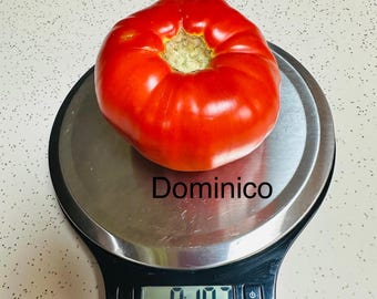 Dominico Tomato Seeds