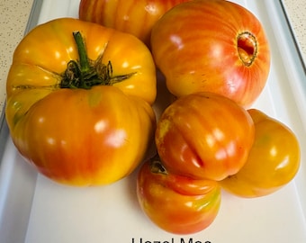 Hazel Mae Heirloom Tomato Seeds