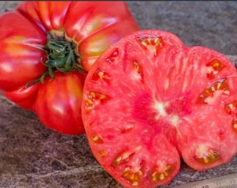 1884 Pink Heart Tomato Seeds