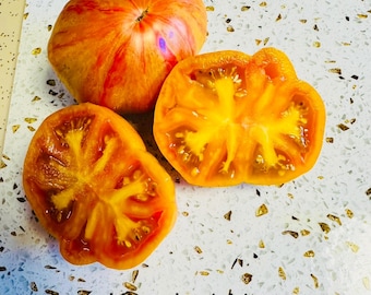 Kozula 141 Tomato Seeds