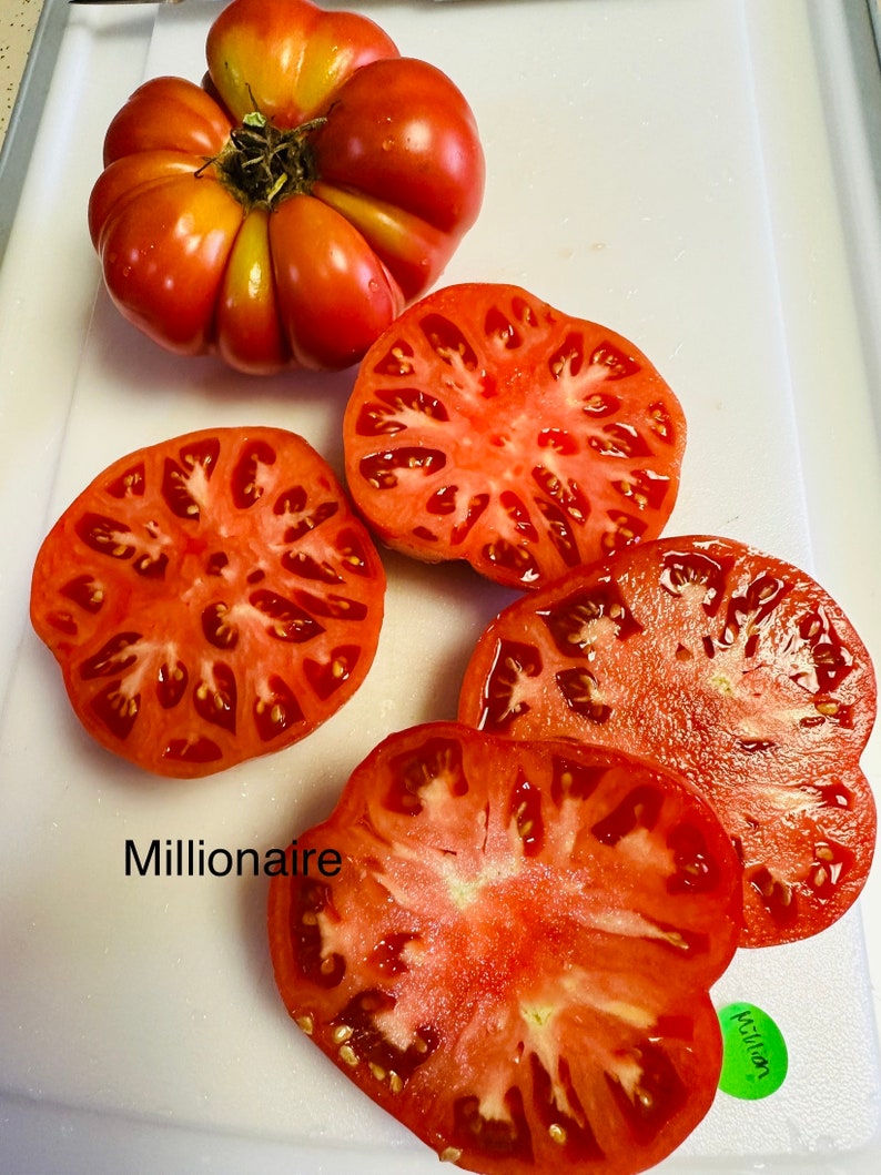 Millionaire Heirloom Tomato Seed image 1