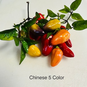 Chinese 5 Color Pepper Seeds