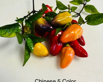 Chinese 5 Color Pepper Seeds
