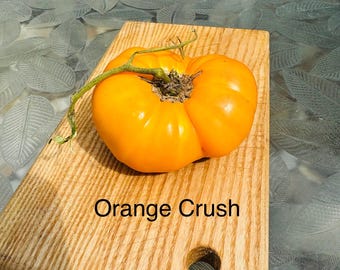Orange Crush Tomato Seeds