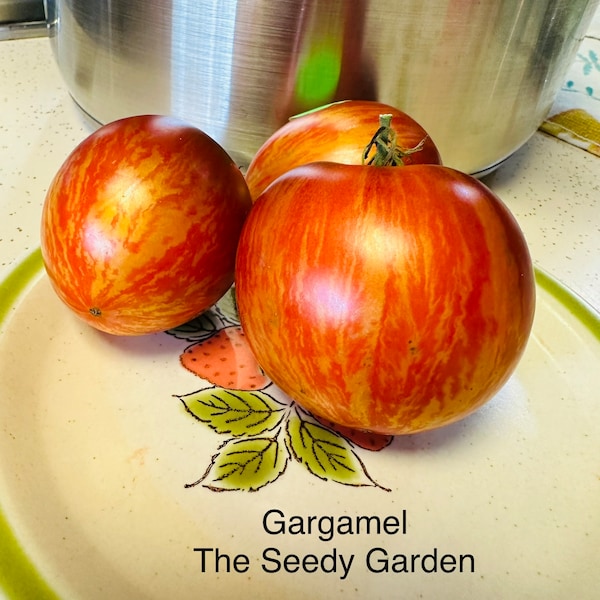 Gargamel Heirloom Tomato seeds