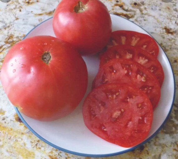 Graines De Tomate Crimson Géant | Variété Rare Heirloom | Tomates Énormes | Pour Jardin - 5