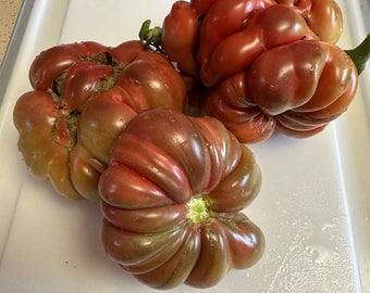 Zapotec Brown Flesh Tomato Heirloom Seeds