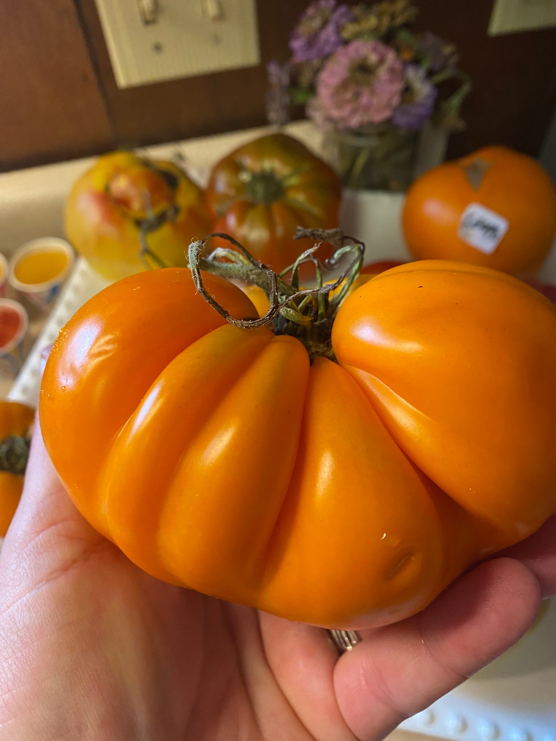 Orange Accordion Heirloom Tomato Seeds Etsy