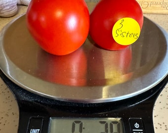 3 Sisters Tomato Seeds-Rare