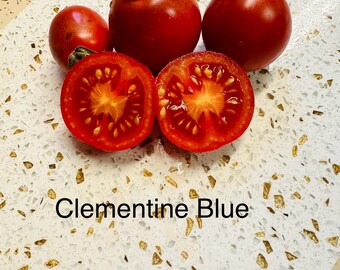 Clementine Blue Tomato Seeds