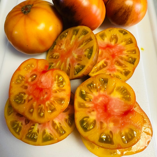 Ananas Bleu Tomato Seeds