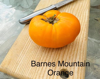 Barnes Mountain Orange Tomato Seeds