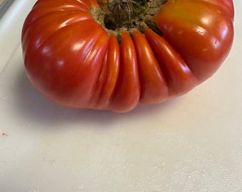 Tiffen Mennonite Heirloom Tomato seeds