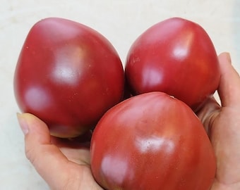 Black Heart of Delirium Tomato Seeds