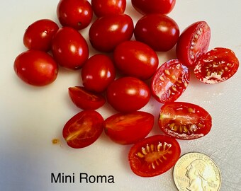 Mini Roma tomato seeds