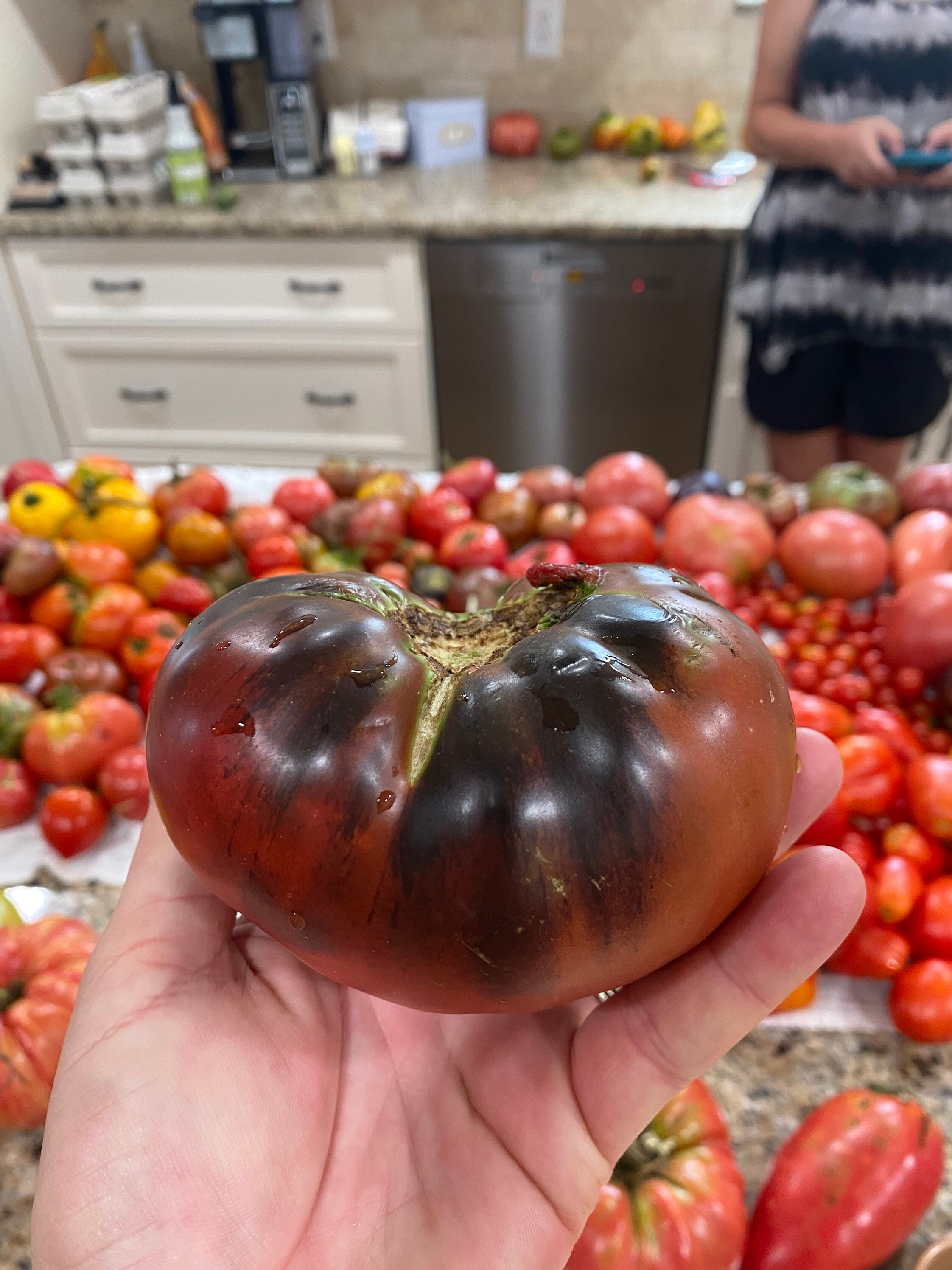 Cherokee Purple Heirloom Tomato Seeds