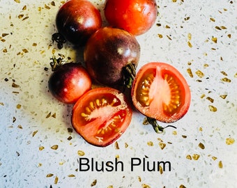 Blush Plum Tomato Seeds