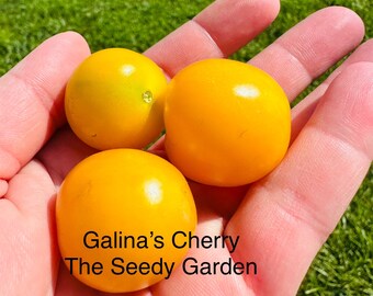 Galina’s Cherry Tomato Seeds