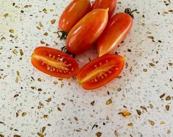 Maglia Rosa Tomato Seeds