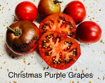Christmas Purple Grapes Tomato Seeds