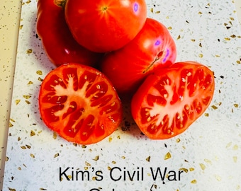 Kim’s Civil War Oxheart Dwarf Tomato Seeds