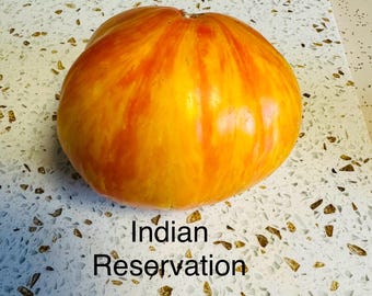 Indian Reservation Tomato Seeds