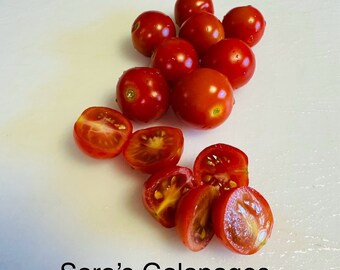 Sara’s Galapagos Tomato Seeds