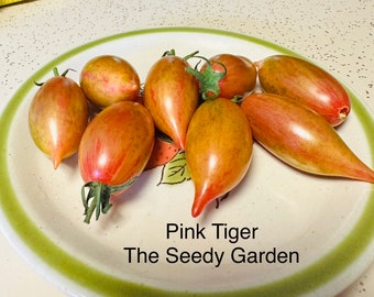 Pink Tiger Tomato Seeds